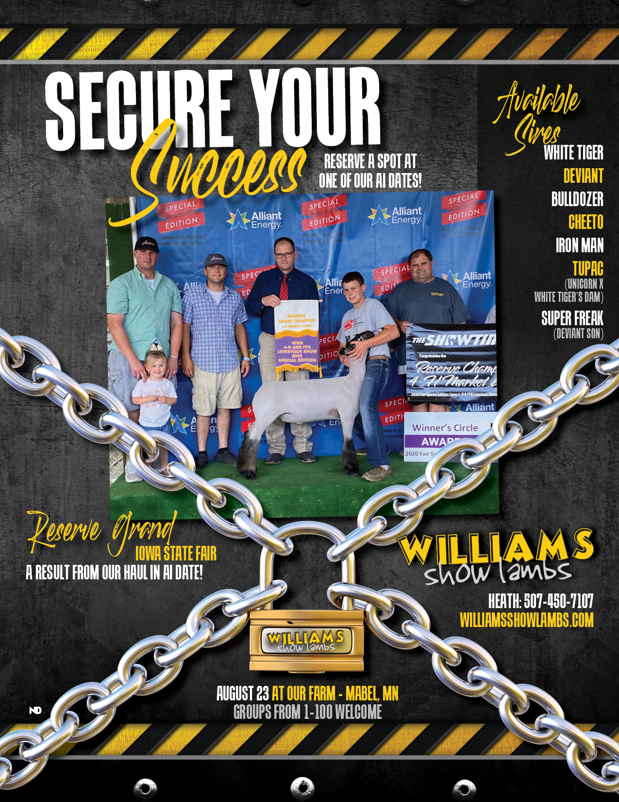 Williams Secure Your Success