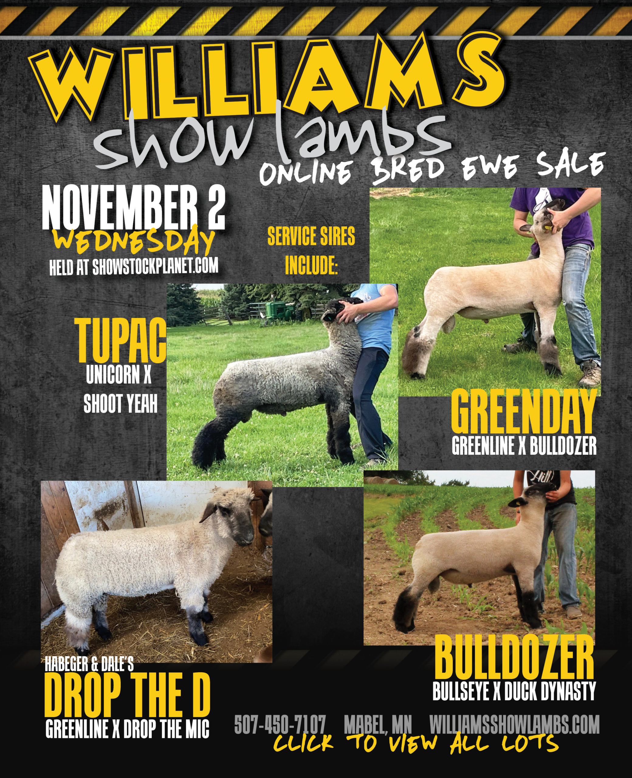 Williams Show Lambs Sedalia 